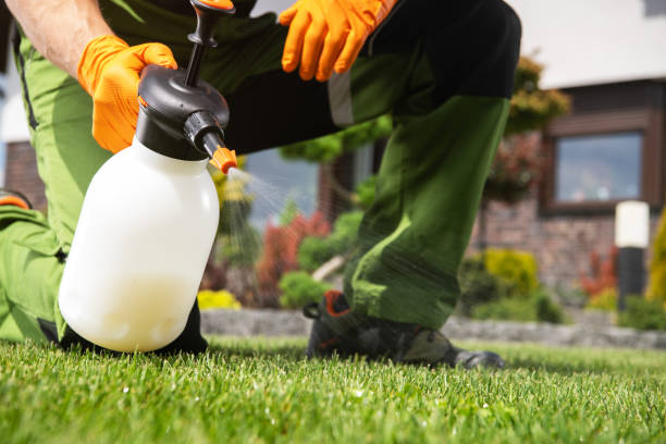 Best Commercial Pest Control Services  in Vanceburg, KY