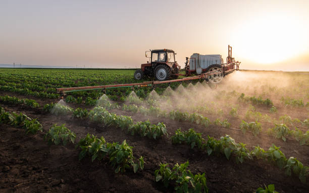 Best Pest Prevention Services  in Vanceburg, KY