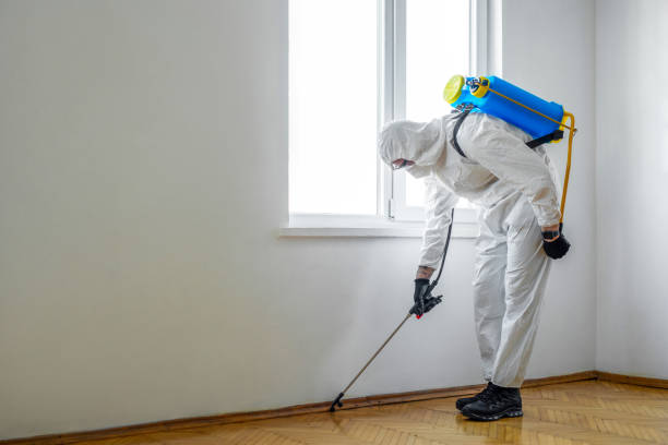 Best Cockroach Control Services  in Vanceburg, KY