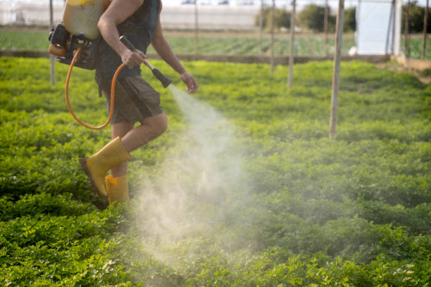 Best Exterminator Services  in Vanceburg, KY