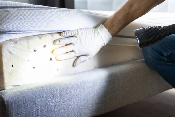 Best Local Pest Control Services  in Vanceburg, KY