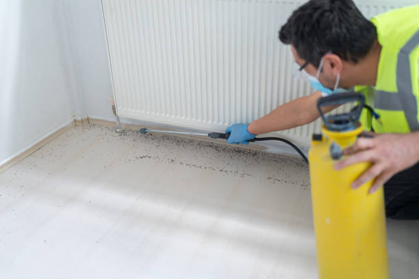 Best Pest Removal Services  in Vanceburg, KY