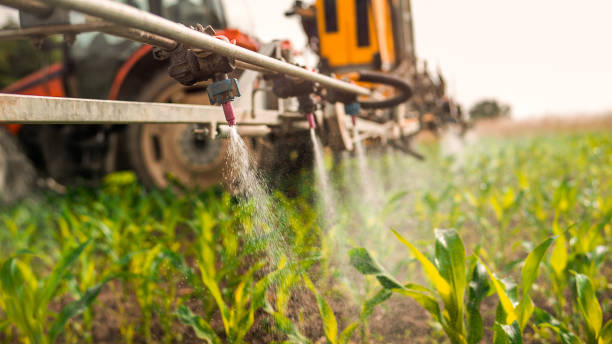 Best Best Pest Control Companies  in Vanceburg, KY